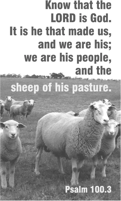 Year A After Pentecost Reign of Christ (Proper 29) (grayscale)