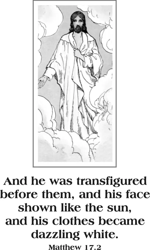 Year A Epiphany Transfiguration Sunday (grayscale)