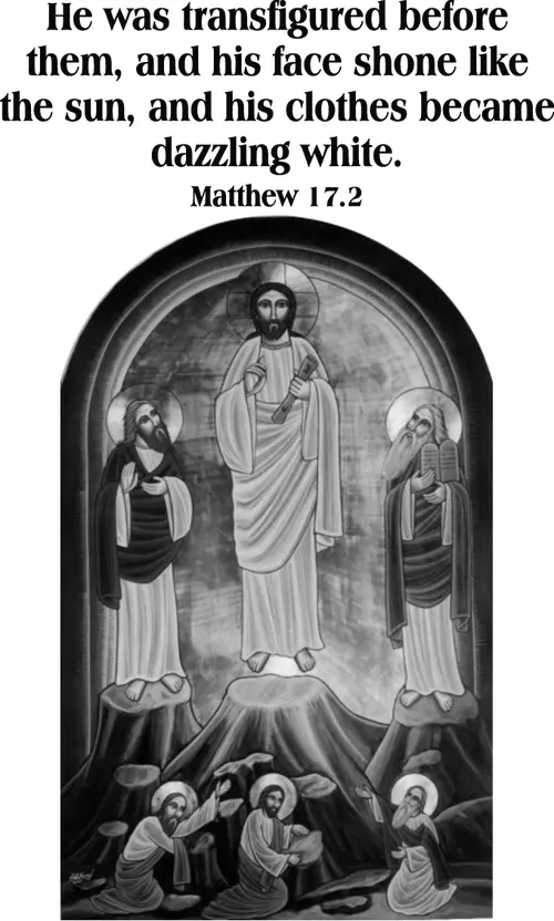 TransfigurationA6go (grayscale)