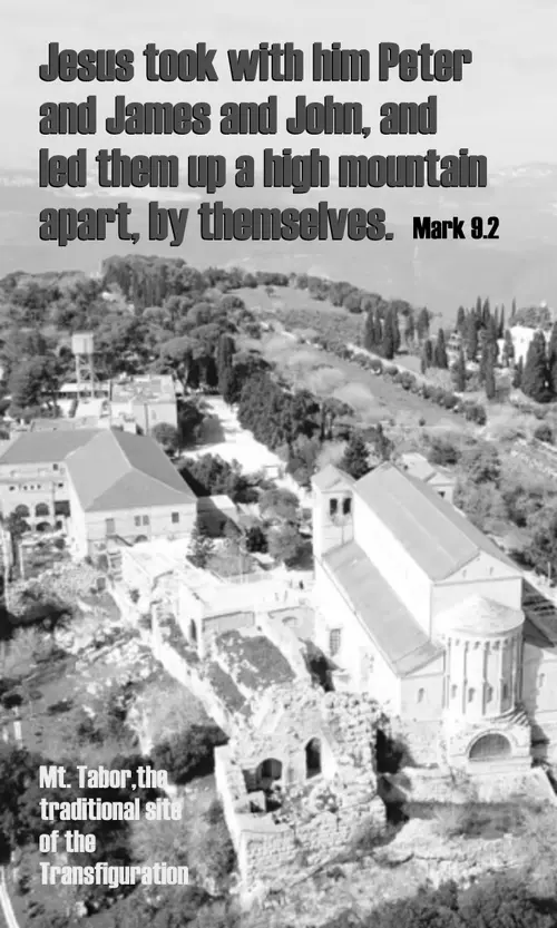 TransfigurationB7go (grayscale)