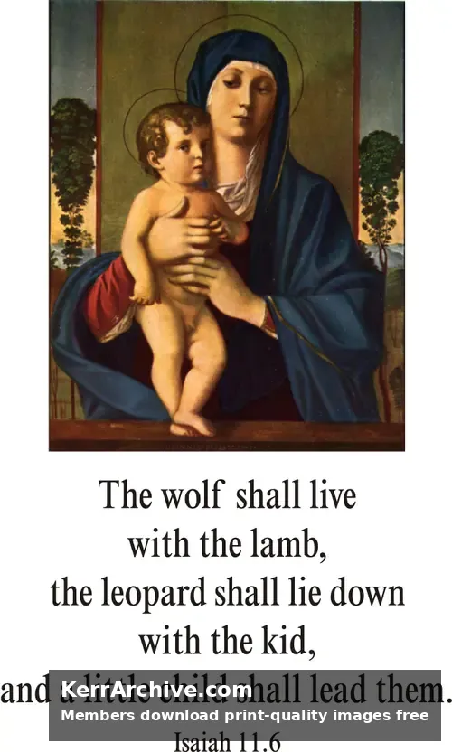 Year A Advent Second Sunday