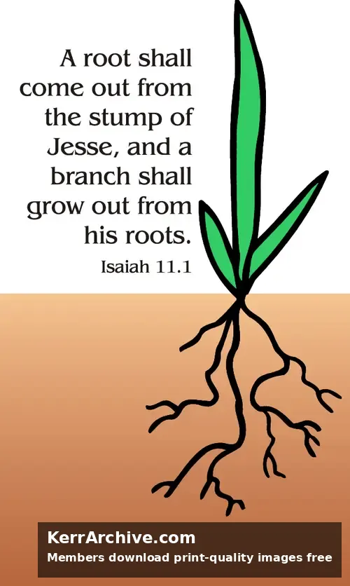 Year A Advent Second Sunday