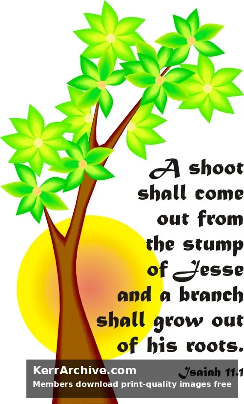 Year A Advent Second Sunday