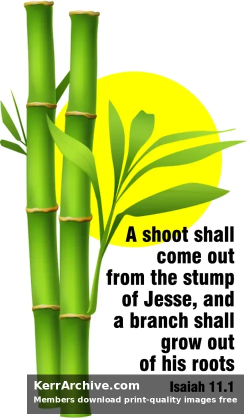 Year A Advent Second Sunday — Isaiah 11:1