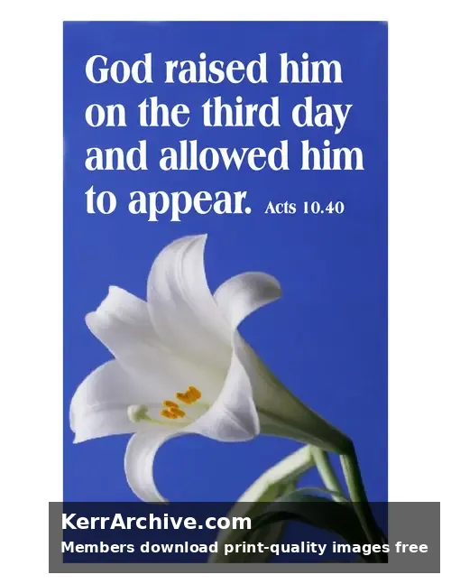 Year C Easter Sunday — Acts 10:40