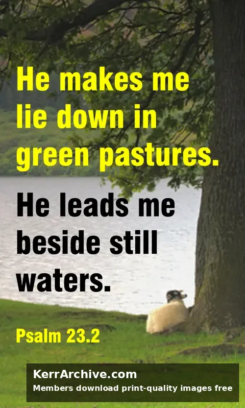 Year B Easter Four Sunday — Psalms 23:2