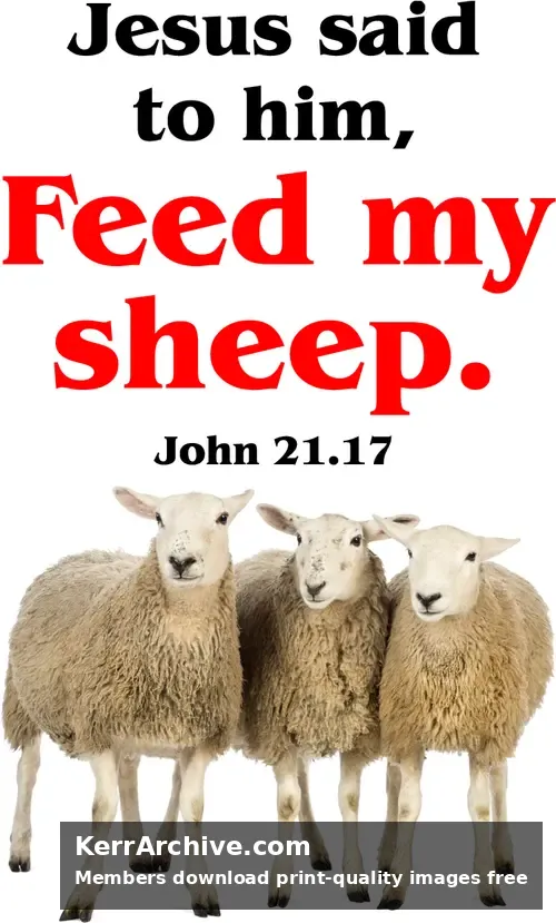 Year C Easter Sunday — John 21:17