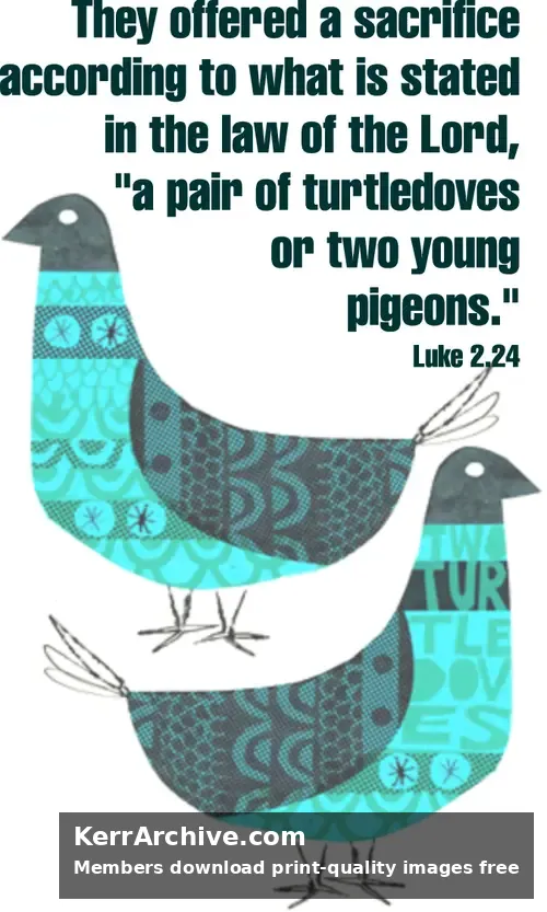 Year C Epiphany Four Sunday — Luke 2:24