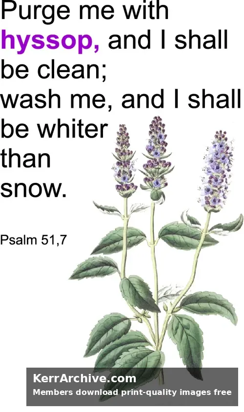Lent Fifth ps