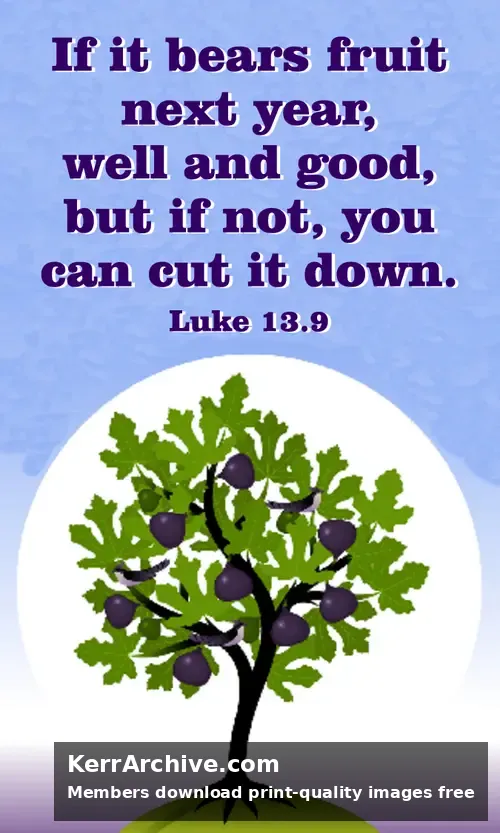 Year C Lent Sunday — Luke 13:9
