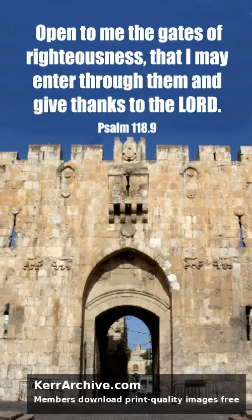 Palm Sunday B6