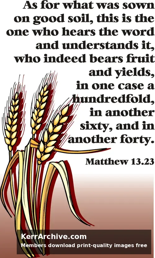 Year A After Pentecost Proper 10