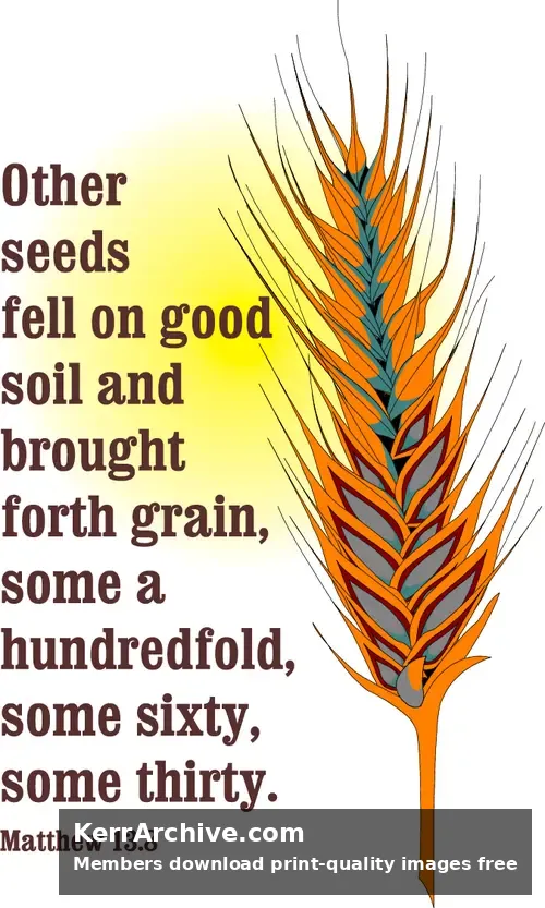 Year A After Pentecost Proper 10