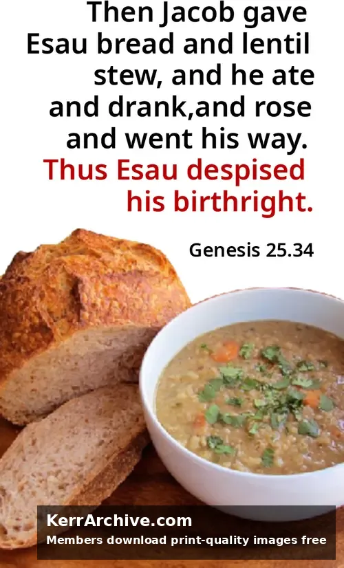 Year A After Pentecost Proper 10