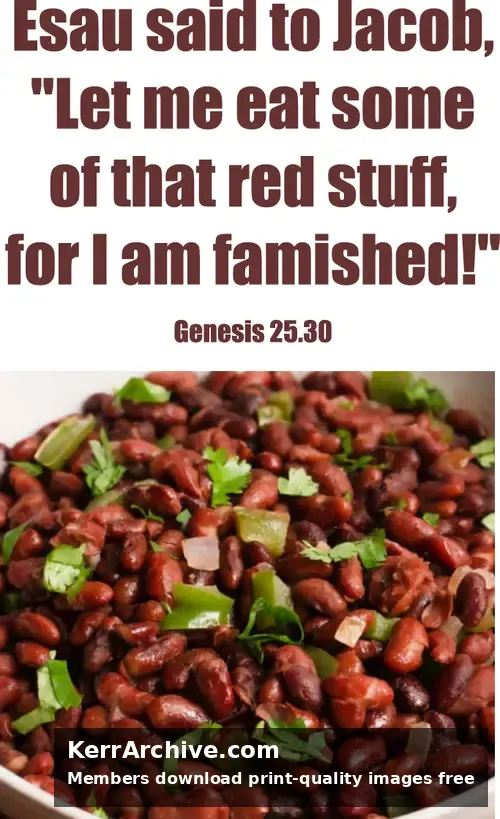 Year A After Pentecost Proper 10 — Genesis 25:30