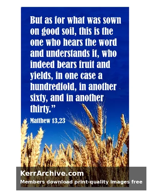 Year A After Pentecost Proper 10 — Matthew 13:23