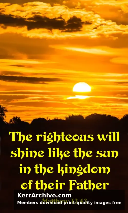 Year A After Pentecost Proper 11 — Matthew 13:43