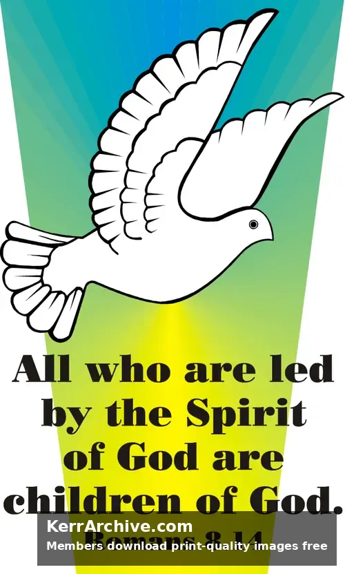 Year A After Pentecost Proper 11