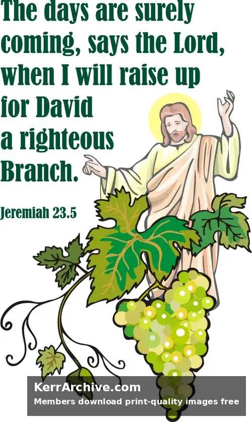 Year B After Pentecost Proper 11