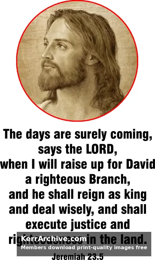 Year B After Pentecost Proper 11 — Jeremiah 23:5