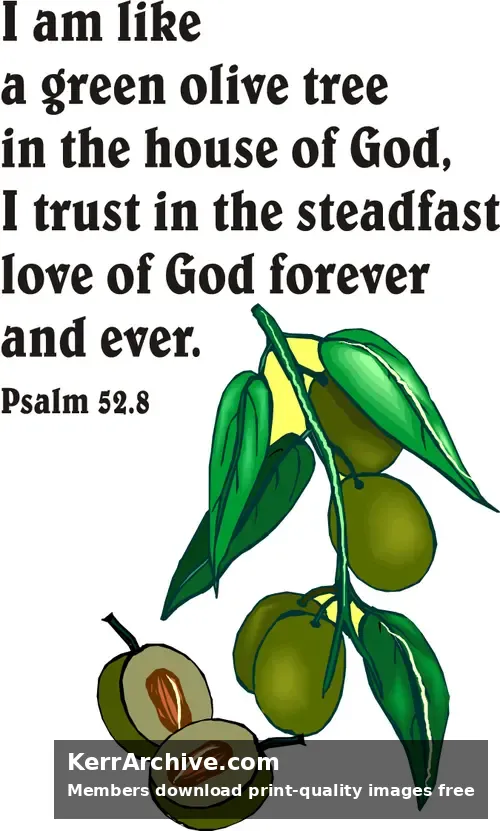 Year C After Pentecost Proper 11