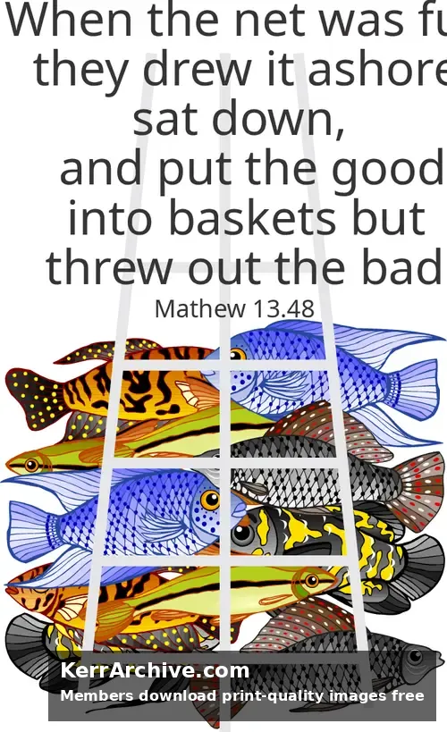 Year A After Pentecost Proper 12