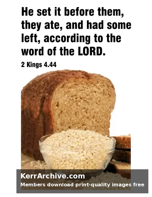 Year B After Pentecost Proper 12 — 2 Kings 4:44