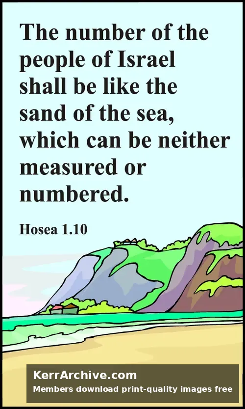 Year C After Pentecost Proper 12