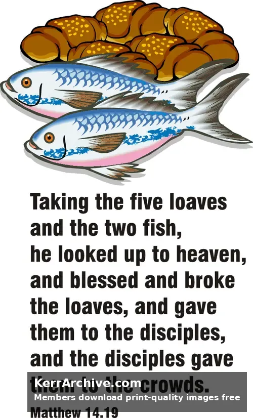 Year A After Pentecost Proper 13