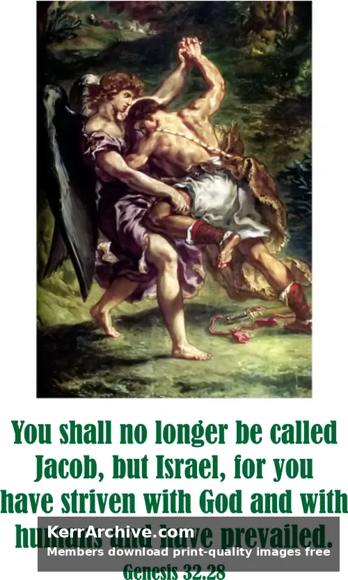 Year A After Pentecost Proper 13