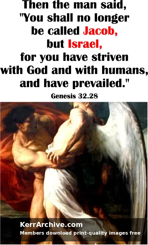 Year A After Pentecost Proper 13