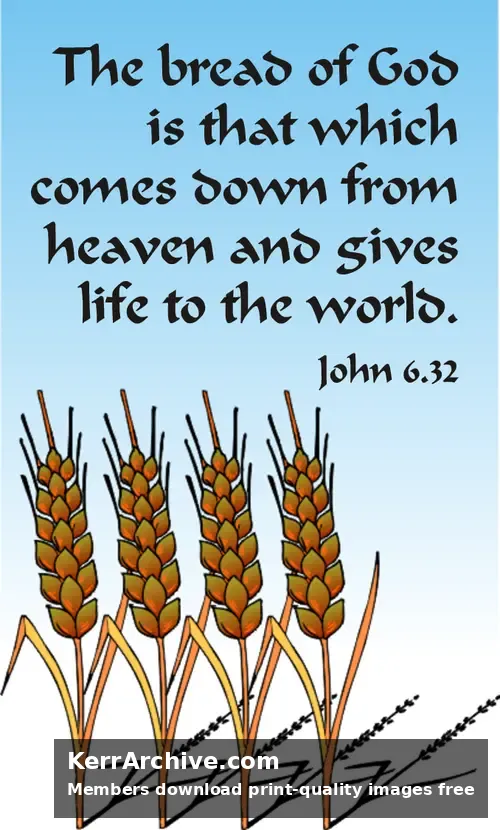 Year B After Pentecost Proper 13