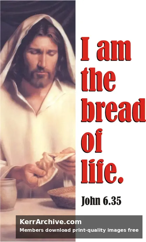Year B After Pentecost Proper 13