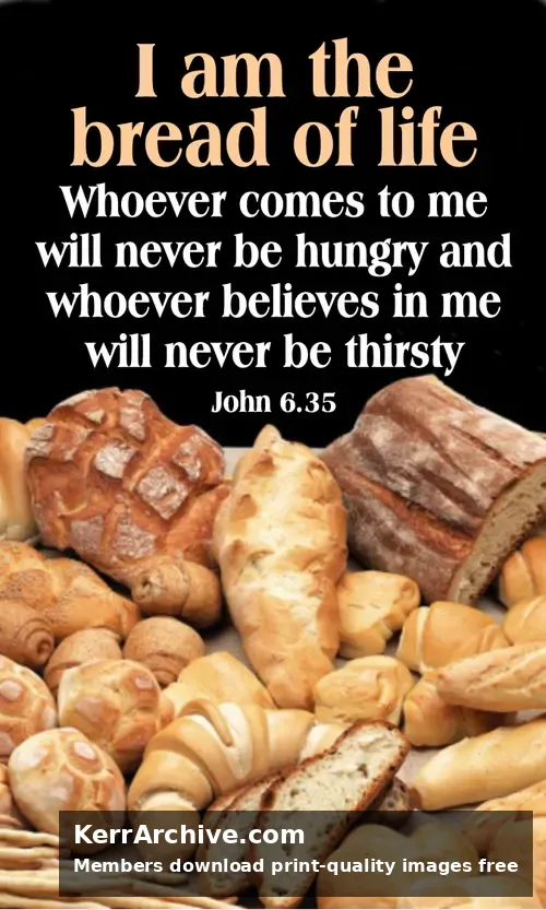 Year B After Pentecost Proper 13 — John 6:35