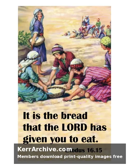 Year B After Pentecost Proper 13 — Exodus 16:15