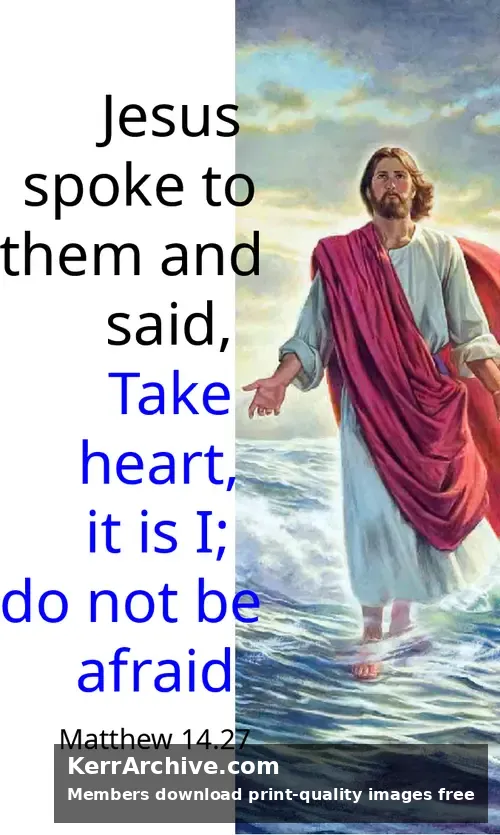 Year A After Pentecost Proper 14