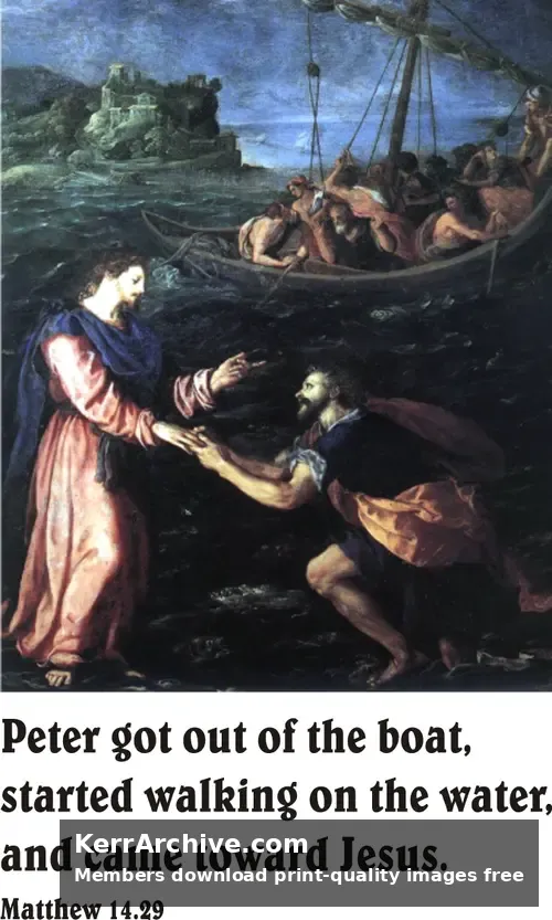 Year A After Pentecost Proper 14