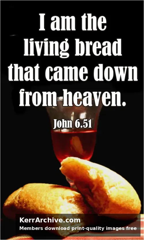 Year B After Pentecost Proper 14