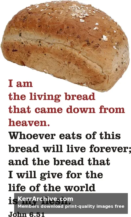 Year B After Pentecost Proper 14
