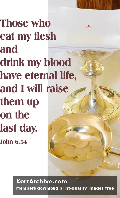 Year B After Pentecost Proper 15