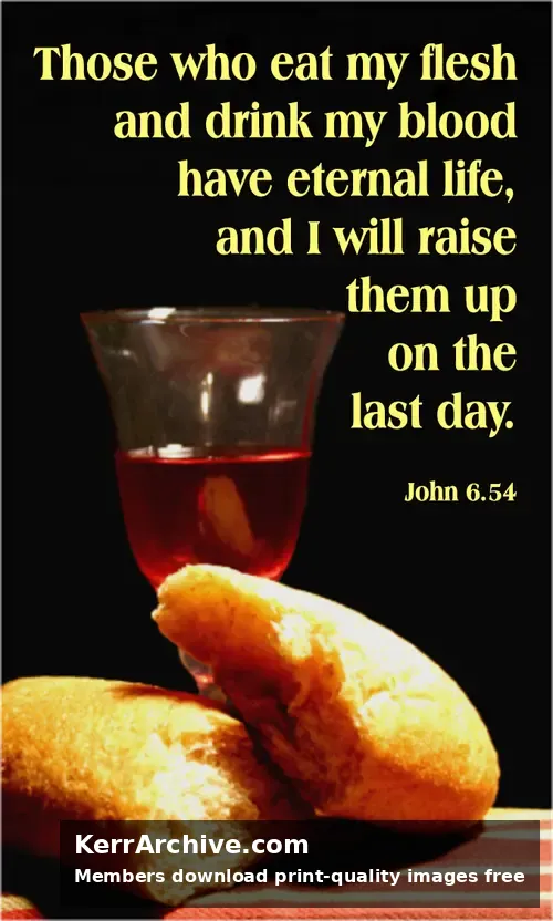 Year B After Pentecost Proper 15