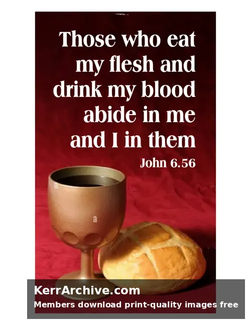 Year B After Pentecost Proper 15 — John 6:56