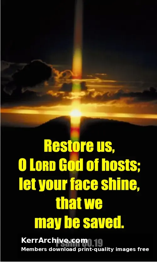 Year C After Pentecost Proper 15