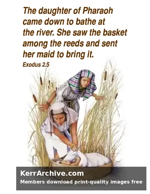 Year A After Pentecost Proper 16 — Exodus 2:5