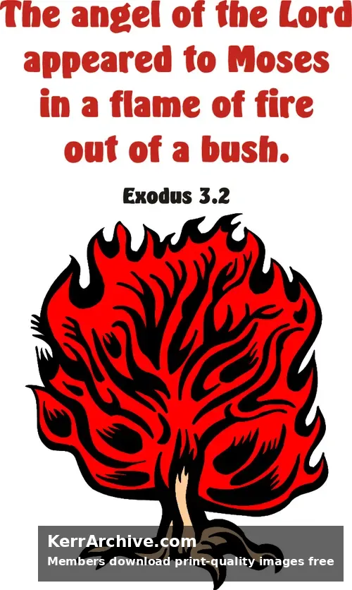 Year A After Pentecost Proper 17