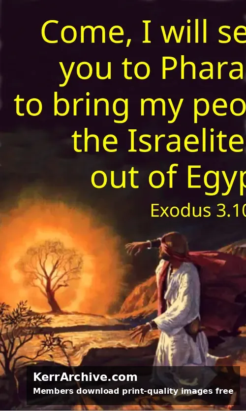 Year A After Pentecost Proper 17
