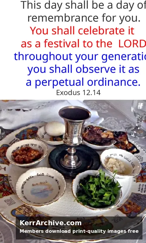Year A After Pentecost Proper 18