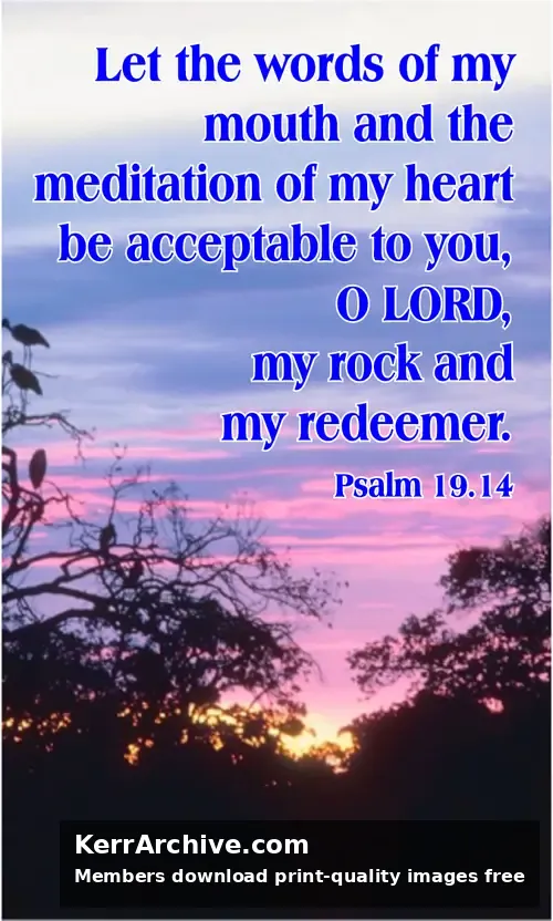 Year B After Pentecost Proper 19