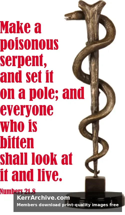 Year C After Pentecost Proper 19 — Numbers 21:8