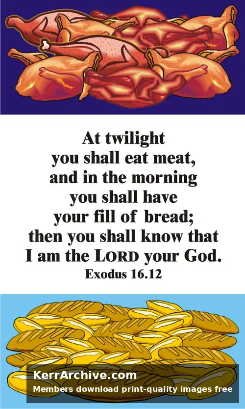 Year A After Pentecost Proper 20